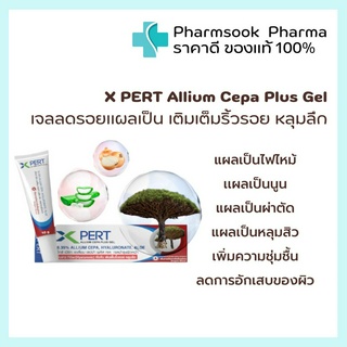 &gt;&gt;พร้อมส่ง&lt;&lt; X PERT Allium Cepa Plus Gel 💦เจลลดรอยแผลเป็น รอยดำ รอยแดง ลดการอักเสบ เติมเต็มริ้วรอย หลุมสิว 10 g.