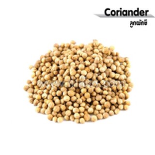 Coriander ลูกผักชี (1oz) ช่วยแต่งกลิ่น และรสชาติ