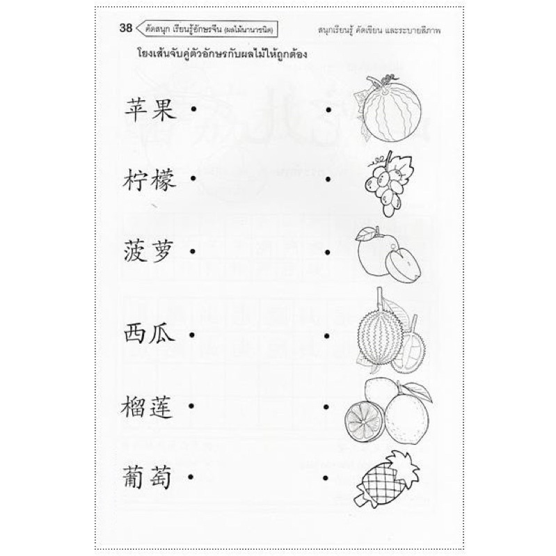 corcai  หนังสือภาษาจีน คัดจีน 4 เล่ม 4 หมวด หนังสือเด็ก ฝึกคำศัพท์ภาษาจีนที่ควรรู้  คำศัพท์ ภาพประกอบ และแบบทบทวน - รูปที่ 2
