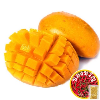 1pc Edible Mango Fruit Seeds Garden Courtyard Outdoor Plants Mango Tree Seed苹果/母婴/生菜/头饰/香菜/文胸/芹菜/帽子/鲜花/内裤/ FDRA