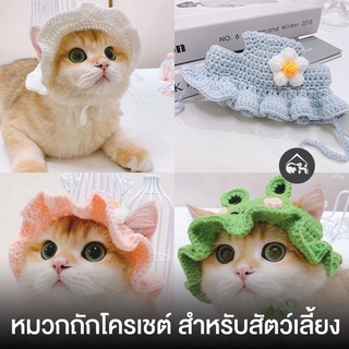 หมวกถักโครเชต์ สำหรับสัตว์เลี้ยง - Crochet hat