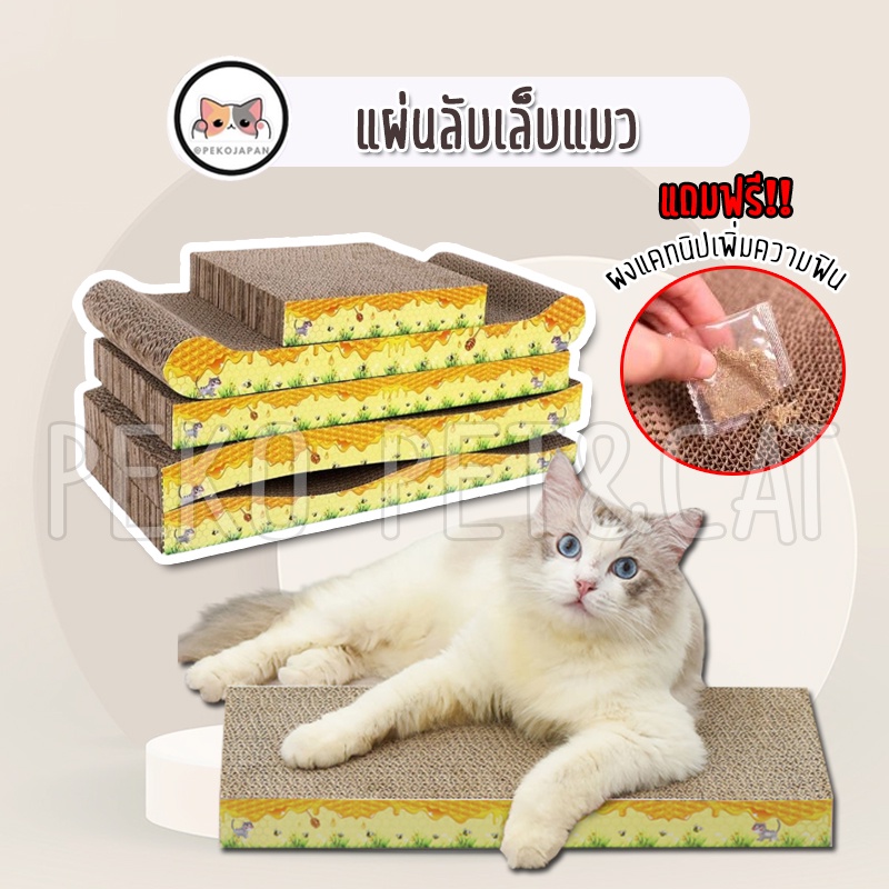 PEKO PET&CAT แผ่นลับเล็บแมว มีหลายแบบ แถมแคทนิป ที่ลับเล็บแมว ของเล่นแมว ลับเล็บกระดาษ