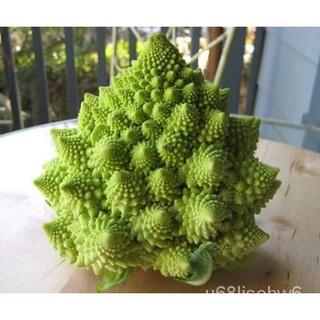 （มีของแจก）บล็อคโคลี่ เจดีย์ - Romanesco Broccoli WAGY