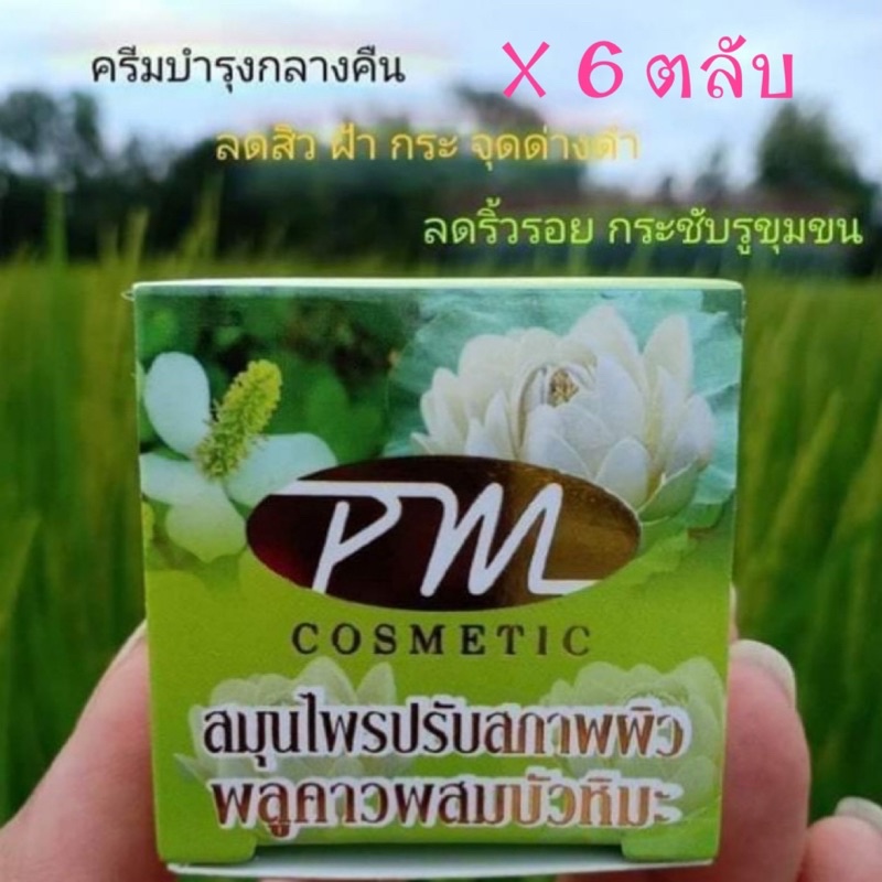 6 ตลับ ครีมพลูคาวผสมบัวหิมะ สติ๊กเกอร์ทอง ใหม่ PM Cosmetic พีเอ็ม คอสเมติก ของแท้  พลูคาวผสมบัวหิมะ 