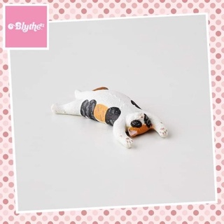 กาชาปองแมว Zoo Zzz Sleeping Cat ฟิกเกอร์แมว โมเดลแมว แมวนอนหลับ ของแท้ มีการ์ด กาชาปองสัตว์ Gashapon Figure