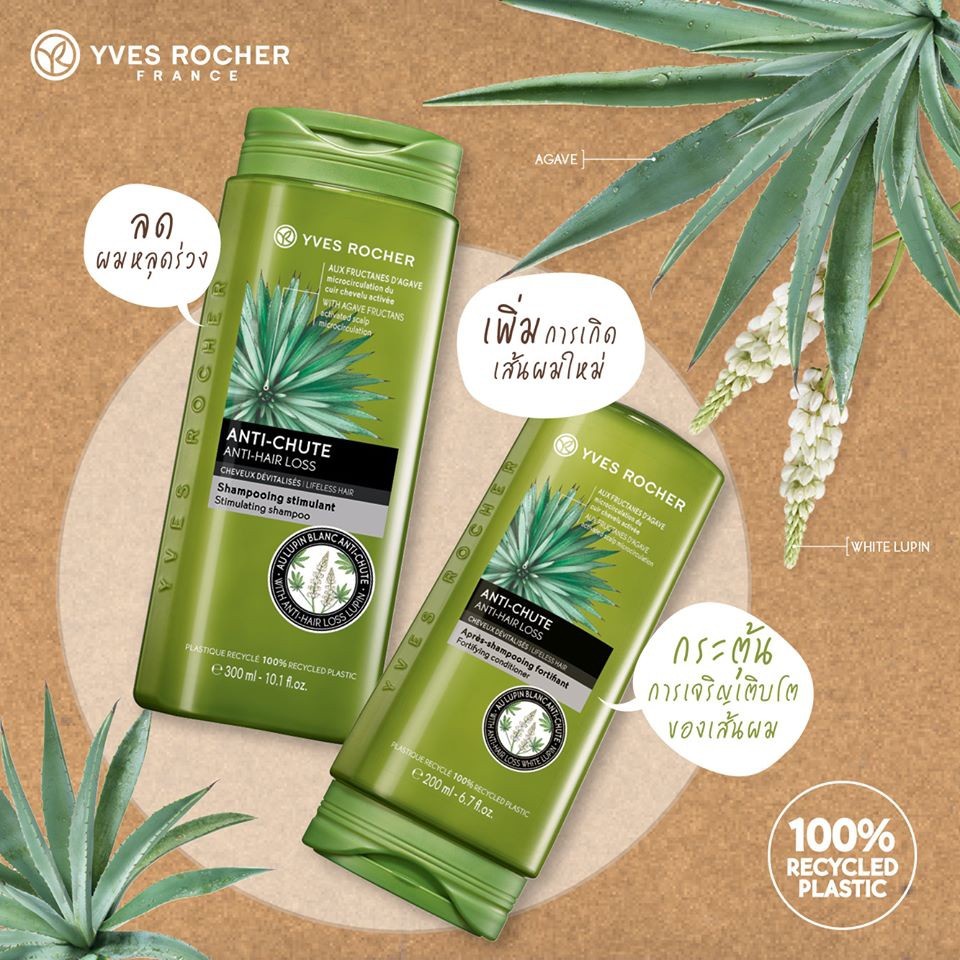 [แพ็คคู่] Yves Rocher BHC V2 Anti Hair Loss Shampoo 300ml Shopee Thailand