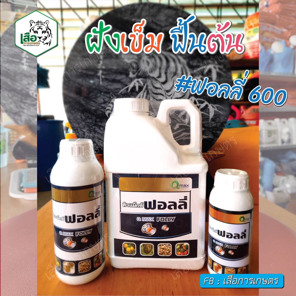 ฟอลลี่ (Qmax) ฝังเข็มไฟท็อปธอร่า และฉีดพ่นใบ