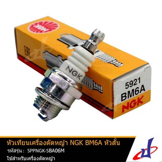 หัวเทียนเครื่องตัดหญ้า NGK BM6A หัวสั้น 5921 แท้ คุณภาพดี ใช้กับเครื่องตัดหญ้า SPPNGK-SBA06M