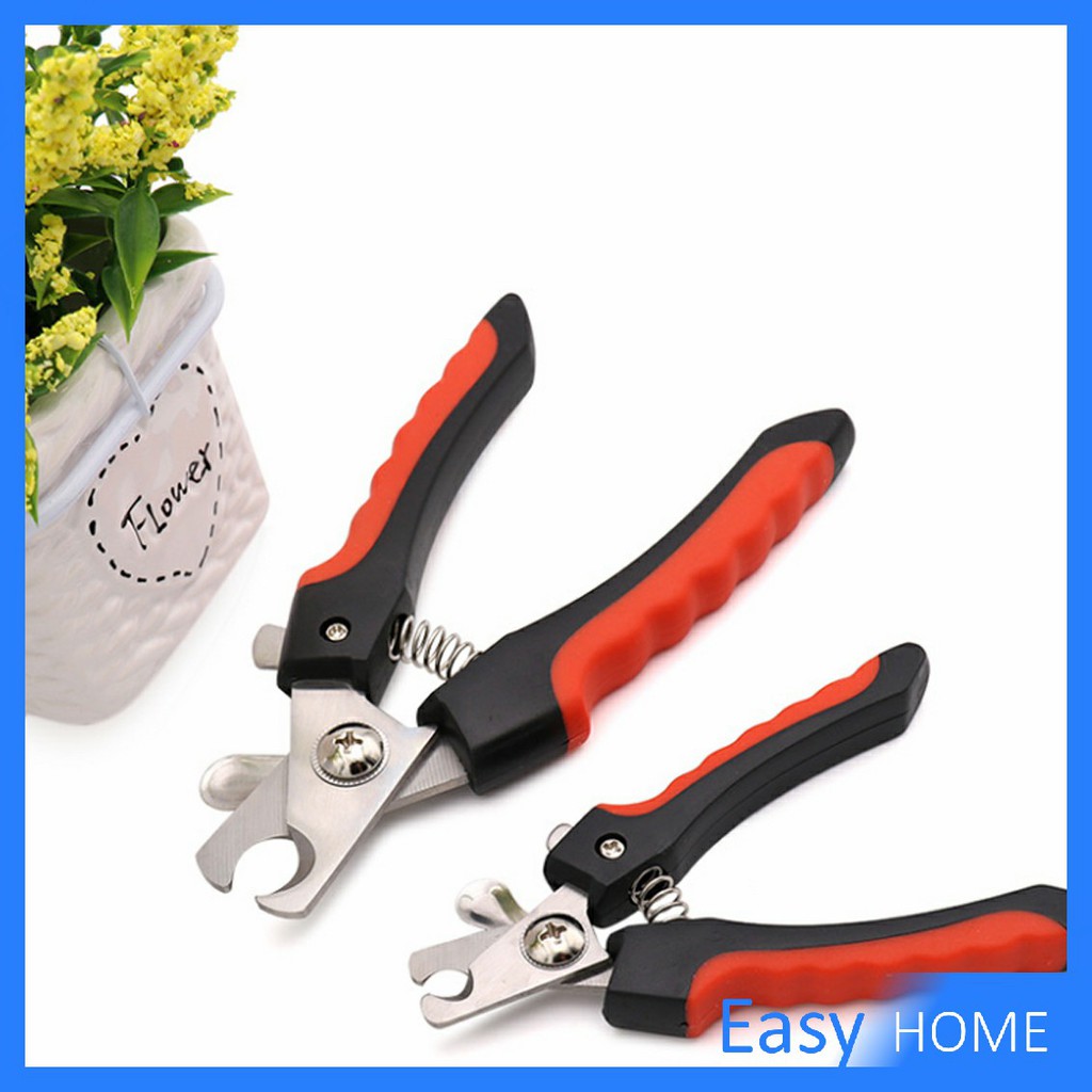 รูปภาพ 7