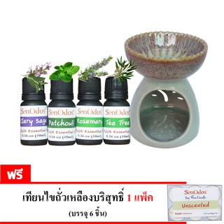 น้ำมันพร้อมเตาเผา กลิ่น Earthly Set ชุดกลิ่นธรรมชาติ (แครี่เสจ,แพทชูลี่,โรสแมรี่และทีทรีออยล์) ฟรี เทียนทีไลท์ 1 แพ็ค