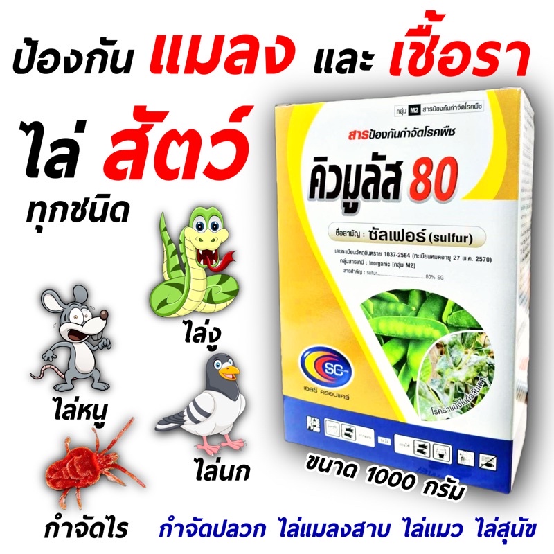 คิวมูลัส 1 กิโลกรัม ซัลเฟอร์ 80% กำมะกัน เนื้อทอง ไล่งู ไล่นก ไล่สัตว์ทุกชนิด กำจัดไร ป้องกัน เชื้อราในพืช ไมโครไธออล