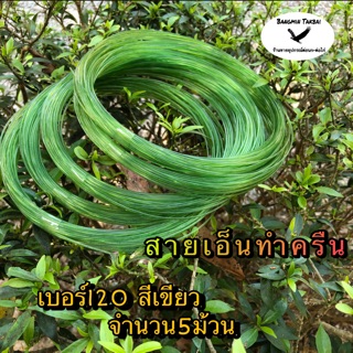 สายเอ็นทำครืน เบอร์120 สีเขียว จำนวน5ม้วน สายเอ็นทำครืนแขวน ทำครืนไก่ สายเอ็นดักนก เอ็นสวยสีเขียว