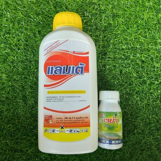สารกำจัดแมงแลมเต้(แลมบ์ดา-ไซฮาโลทริน)1ลิตร+สารกำจัดแมลงเรย่า(โนวาลูรอน)100ซีซี