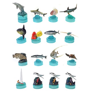 Kaiyodo Aquatales Kuroshio Comecco Bottle Cap Series 1 โมเดลสัตว์ ปลา