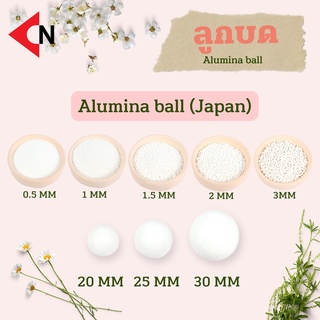 ลูกบด ALUMINA BALL SIZE 0.5-30MM บรรจุ 1 กิโลกรัม