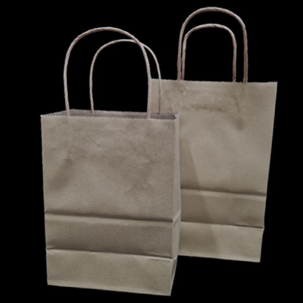 (1 ใบ) ถุงกระดาษพร้อมหูหิ้วแบบเกลียว