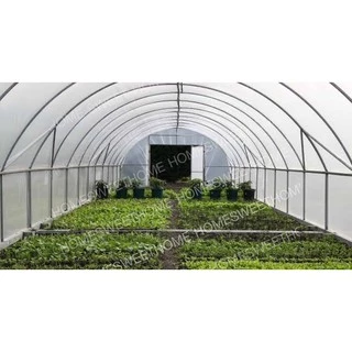 [โค้ดPSK49ลด25%] *ค่าส่งถูก* พลาสติกคลุมโรงเรือน greenhouse หน้ากว้าง 3.6 / 4 / 5เมตร หนา 80,120,150,200 ไมครอน