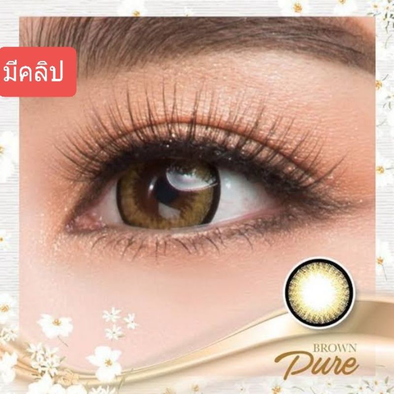 💟 Little/mini Pure ( Vivi ) dia14.2 Pitchylens Pretty doll Wink สายตา-00 ถึง -1000 brown gray Contac