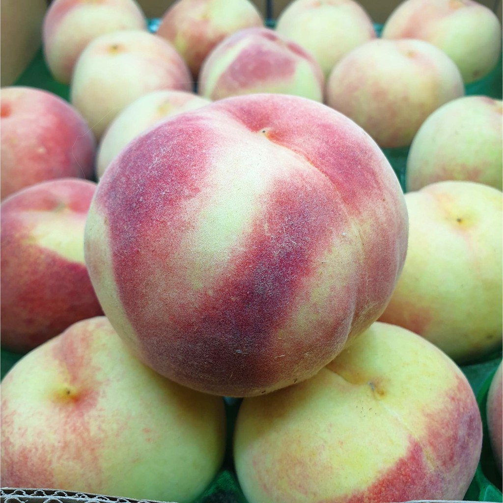 ลูกพีชสดนำเข้า PEACHES 桃もも (CHN) ~ลดพิเศษ~ พรีเมี่ยม หอม หวาน ! ผลไม้สดๆ ผลไม้นอก นำเข้า (ลูกท้อสด ผลไม้ลูกพีชนอก) ราคา ถูกที่สุด ดีลบีเคเค แกลเลอรีภาพที่ 6