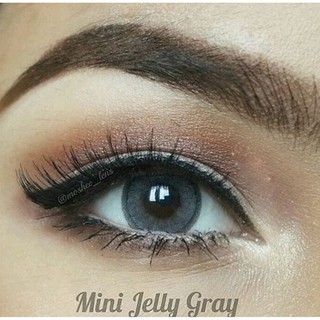 คอนแทคเลนส์ Mini Jelly Gray