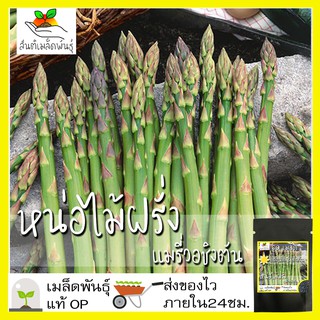 เมล็ดพันธุ์ หน่อไม้ฝรั่ง เมรี่วอชิงตัน 60 เมล็ด Mary Washing…