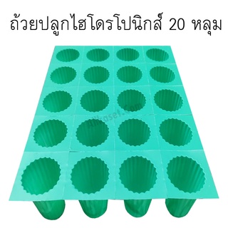 ถ้วยปลูกสีเขียว 20 หลุม ขนาดเส้นผ่านศูนย์กลางประมาณ 3.5 เซนติเมตร ความลึกหลุม 4.5 เซนติเมตร