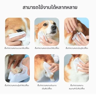 🇯🇵[พร้อมส่ง]Kojima Pet wipes ทิชชู่เปียก กระดาษเปียกสำหรับสัตว์เลี้ยง 80แผ่น