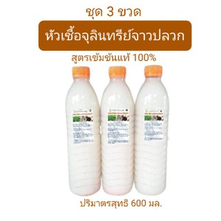 จุลินทรีย์จาวปลวก สูตรเข้มข้น ชุด 3 ขวด ขนาด 600 มล. ป้องกันโรคเชื้อรา ทำปุ๋ยหมัก ปุ๋ยน้ำ ฮอร์โมน บำบัดน้ำเสีย ย่อยฟาง