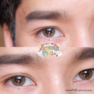 คอนแทคเลนส์🌈Pony🌈 Chestnut / Gray (Wink) ขนาดบิ๊กอาย💖ขายดี🍭