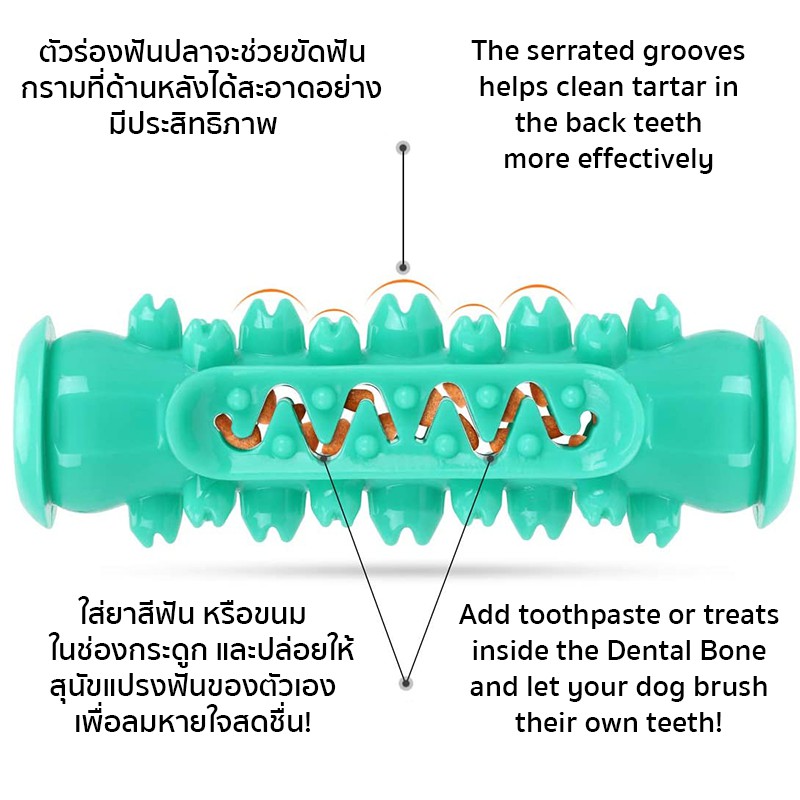 [พร้อมส่ง ] Dog Dental Bone กระดูกแปรงฟัน กระดูกสุนัข กระดูกขัดฟัน ลดกลิ่นปาก ของเล่นสุนัข Dog Toothbrush Cleverpet