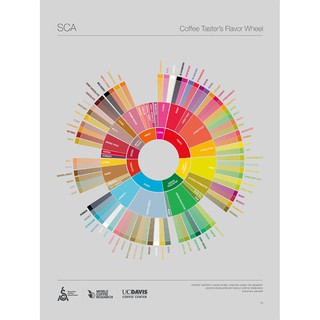 Flavor Wheel(SCA) Poster Original Size (17.71 x 24") ไม่มีกรอบรูป