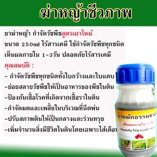 N🔥(เห็นผลใน1-3วัน)🔥กำจัดหญ้า ชีวภาพ กำจัดวัชพืชสูตรชีวภาพ 250 ml. ไร้สารเคมี ใช้กำจัดวัชพืชทุกชนิด ยาฆ่าหญ้า