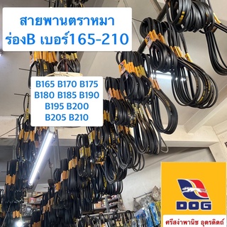 สายพานตราหมา ร่องB เบอร์165-210 / B165, B170, B175, B180, B185, B190, B195, B200, B205, B210