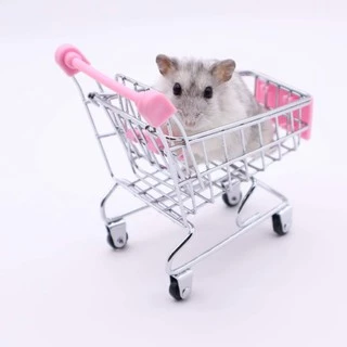 crazy pet shop🐹รถเข็นจิ๋ว ไว้ถ่ายรูปหรือตกแต่ง สำหรับสัตว์เลี้ยงหนูแฮมสเตอร์