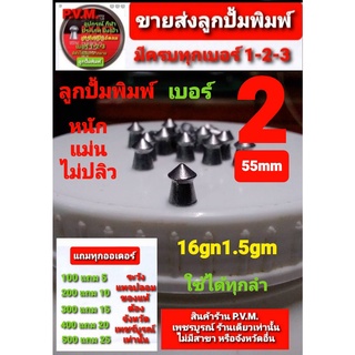 ลูกเบอร์ 2 อุปกรณ์ฝึกซ้อมกีฬา รุ่นหัวแหลม ขนาด5.5 มม หนัก 16 เกรน ใช้ได้ทุกลำกล้อง