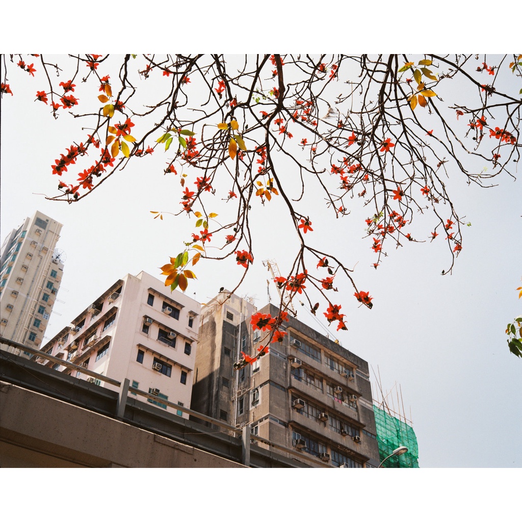 ฟิล์มสี120 1 pack 3 ม้วน Lomography Color Negative 400 120 Medium Format ฟิล์ม lomo ฟิล์มถ่ายภาพ