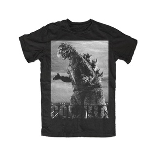 เสื้อยืดวินเทจเสื้อยืด พิมพ์ลาย Godzilla 2 Nippon Kaiju Kanji Blu-ray Tokyo Gojira Toki วาฟเฟิล ของขวัญวันเกิด สําหรับผู