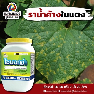 แก้ปัญหา ราน้ำค้าง ใบจุด เชื้อรา 500กรัม ไซมอกซ่า เชื้อราในแตง ราในข้าวโพด กำจัดเชื้อรา ไซมอกซานิล แมนโคเซบ