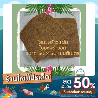 ใยมะพร้าวแผ่น ใยมะพร้าวอัดอย่างดี ขนาด 50 x 50 ซม.