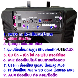 ร้านแนะนำSKG ลำโพงล้อลาก 12 นิ้ว 6000 W รุ่น SR 8000 BT12 สีดำ img 2