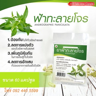 ฟ้าาทะลายยโจน แคปซูล 500 Mg. บรรจุ 60 แคปซูล/ซอง สินค้าพร้อมส่ง ผลิตจากใบแท้ๆ ไม่ผสมก้าน