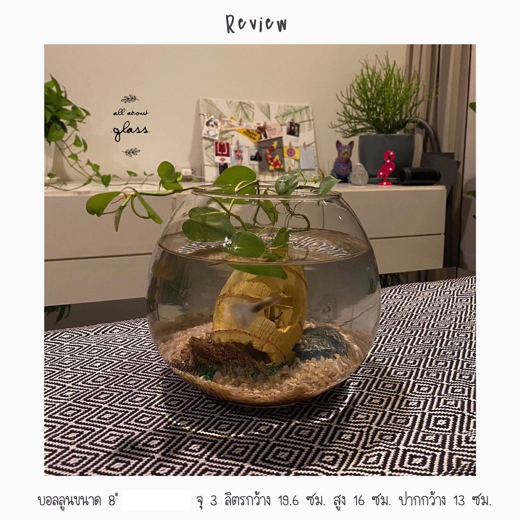 My Image 30