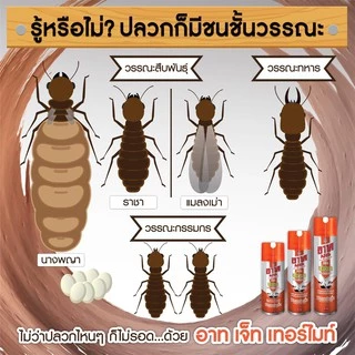 อาท เจ็ท เทอร์ไมท์4 สเปรย์กำจัดปลวกและแมลงคลาน ไร้สารแต่งกลิ่น 600 มล. ARS JET TERMITE4 FRAGRANCE FREE 600mL