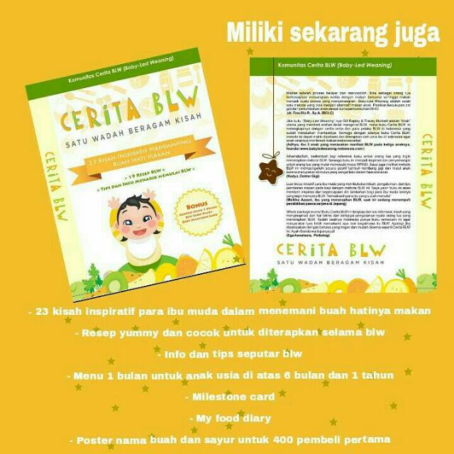 BLW BABY LED WEANING BOOK BLW STORY