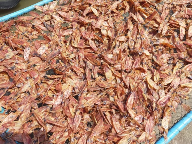 หมึกแห้ง หมึกกะตอยแห้ง มีตา สดใหม่ จาก ทะเล 🦑เค็มนิดๆ จากน้ำทะเล หวานหน่อยๆ จากความสดของเนื้อปลาหมึก รสชาตกลมกลอมกำลังดี - รูปที่ 2
