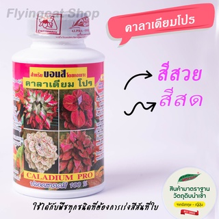 ปุ๋ยบอนสี คาลาเดียม โปร  ใบสวย สมบูรณ์ เร่งสี สีสด 2ขวด70บาท