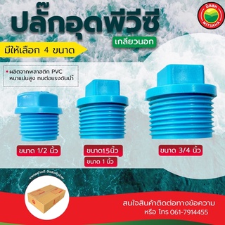 ปลั๊กอุด พีวีซี เกลียวนอก ขนาด 1, 1.5, 1/2, 3/4 นิ้ว EXTERNAL THREAD SOCKET PLUG ตัว หัว จุก อุด ปลายท่อ ประปา PVC มิตสห