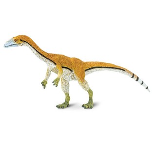 Safari Ltd. : SFR304529 โมเดลไดโนเสาร์ Coelophysis