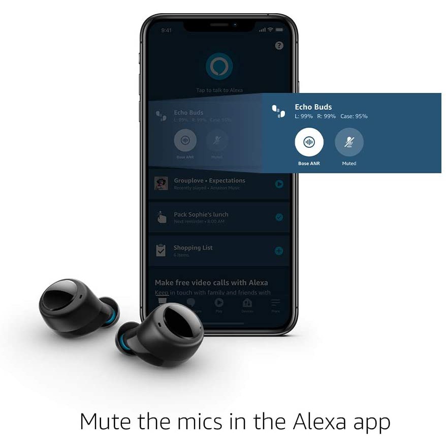 echo wireless earbuds