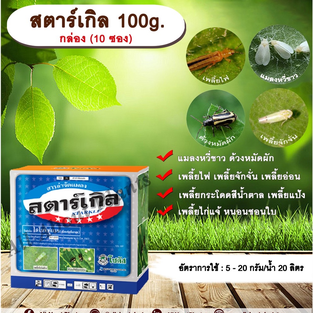 สตาร์เกิล 100g. 1 กล่อง 10 ซอง ไดโนทีฟูแรน สารกำจัดแมลง เพลี้ย แมลง หนอน เพลี้ยไฟ เพลี้ยกระโดด ด้วงหมัดผัก แมลงหวี่ขาว